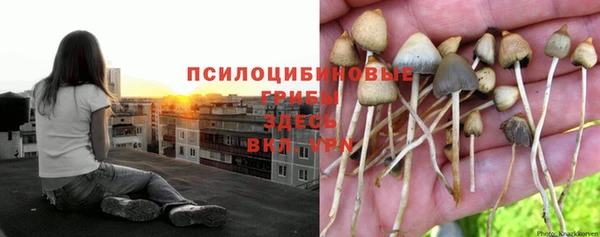 экстази Белокуриха