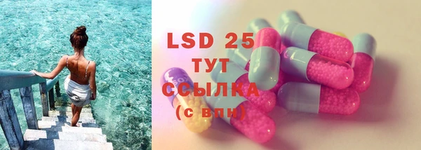 спайс Баксан