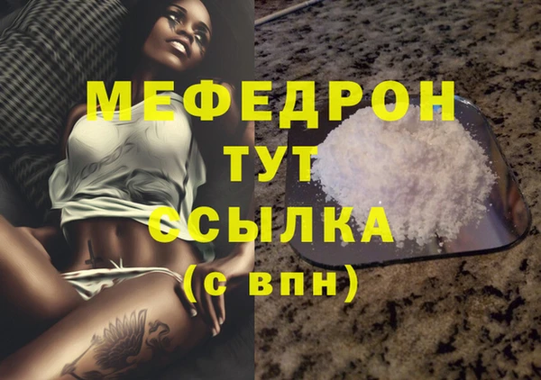 индика Волоколамск